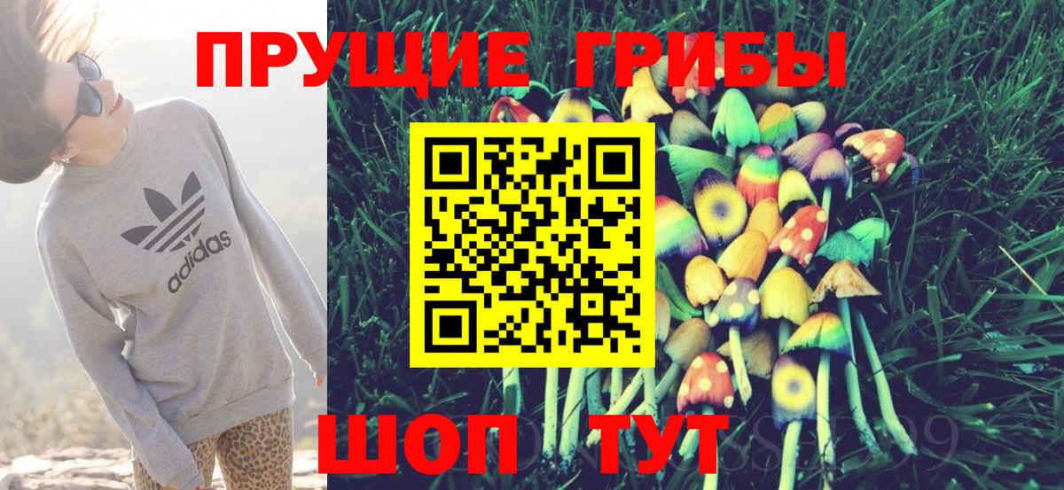 Галлюциногенные грибы Psilocybine cubensis  Псилоцибиновые грибы Psilocybe  Вход с VPN  Усинск 